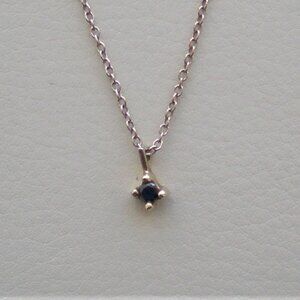 NWOT Wendy Nichol Solid 14K White Gold Blue Sapphire Pendant Necklace Chain $450